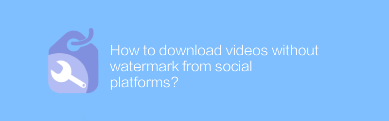 How to download videos without watermark from social platforms?