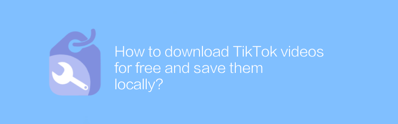 How to download TikTok videos for free and save them locally?