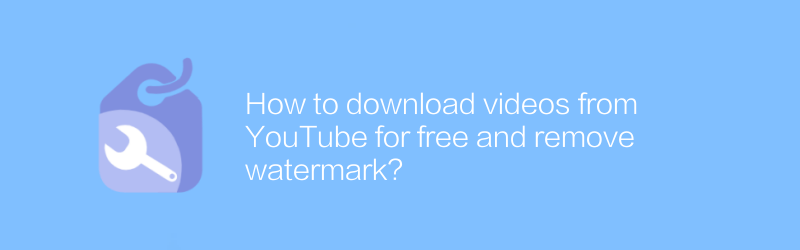 How to download videos from YouTube for free and remove watermark?