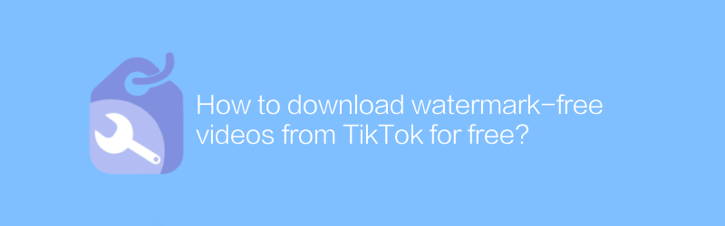 How to download watermark-free videos from TikTok for free?