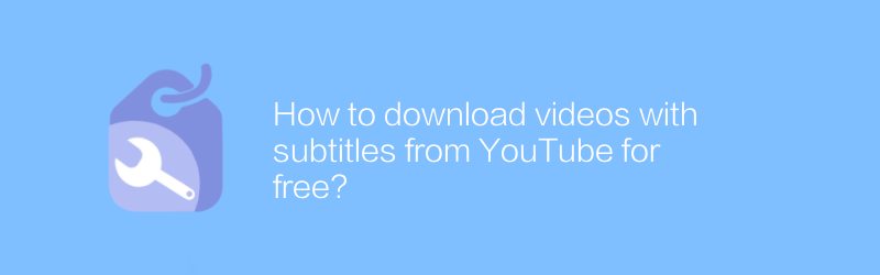 How to download videos with subtitles from YouTube for free?