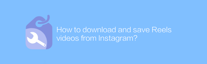 How to download and save Reels videos from Instagram?