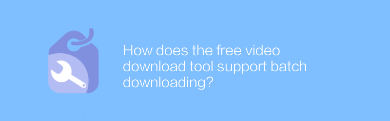 How does the free video download tool support batch downloading?