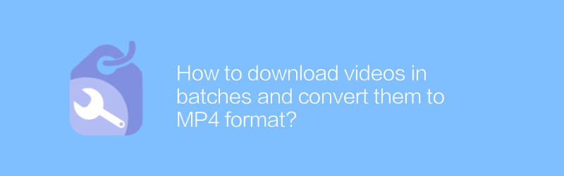 How to download videos in batches and convert them to MP4 format?