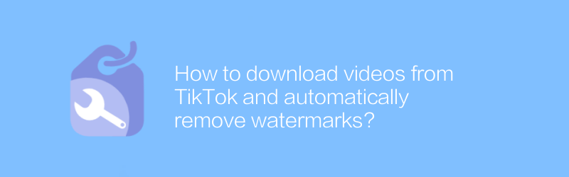 จะดาวน์โหลดวิดีโอจาก TikTok และลบลายน้ำโดยอัตโนมัติได้อย่างไร