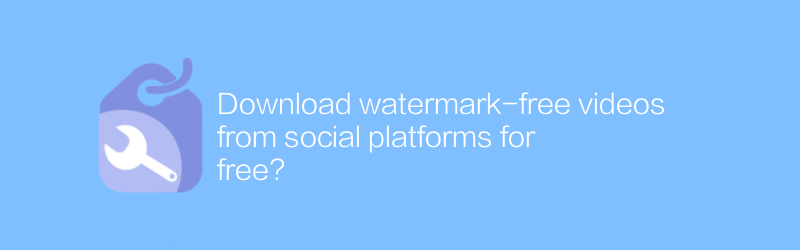 ウォーターマークのない動画をソーシャル プラットフォームから無料でダウンロードできますか?