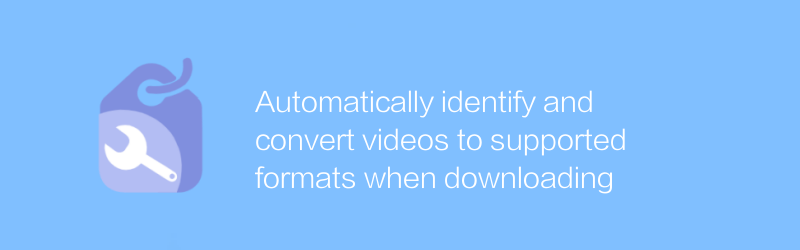 ダウンロード時にビデオを自動的に識別し、サポートされている形式に変換します