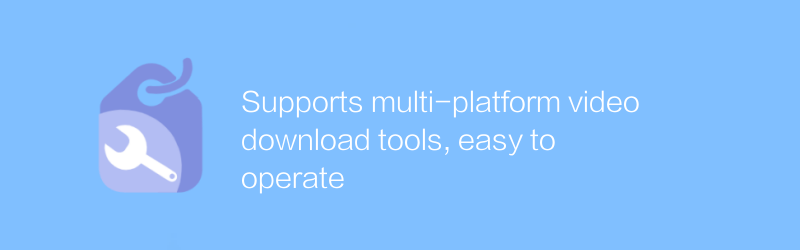 マルチプラットフォームのビデオダウンロードツールをサポートしており、操作が簡単です