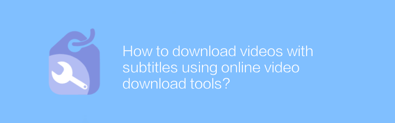 How to download videos with subtitles using online video download tools?