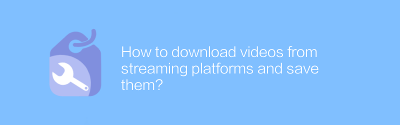 How to download videos from streaming platforms and save them?